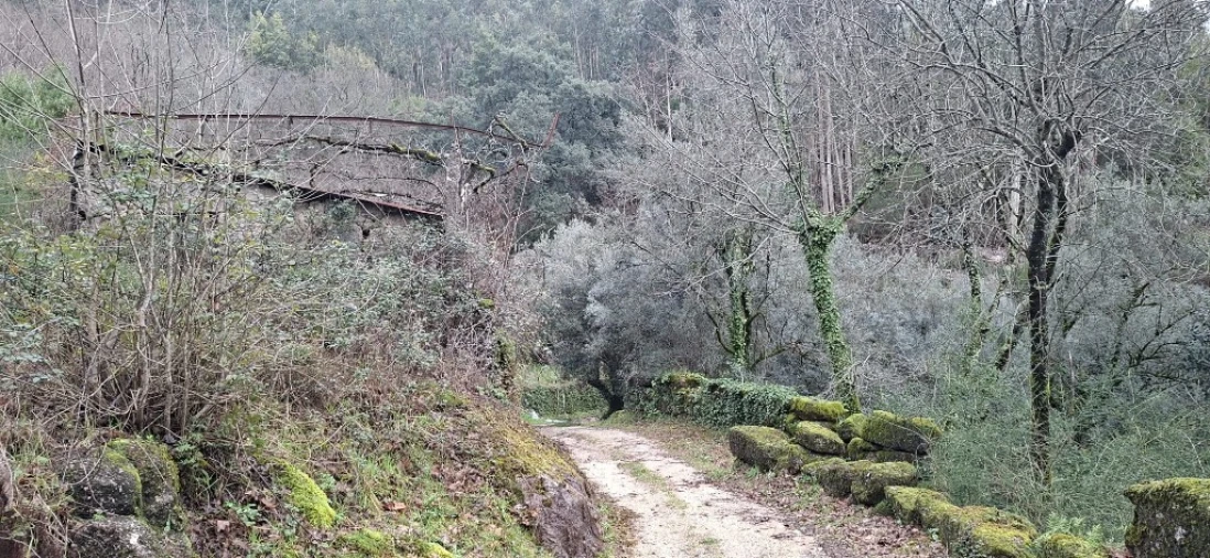 Terreno para Venda em Valdosende Foto 6