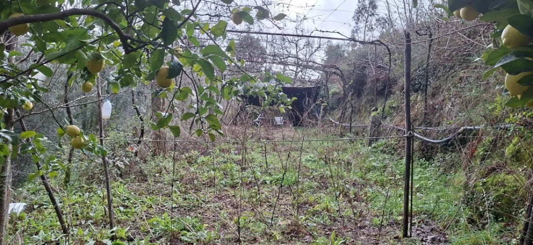 Terreno para Venda em Valdosende Foto 17