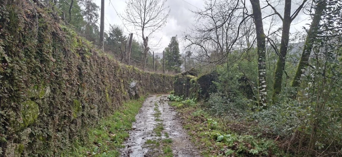 Terreno para Venda em Valdosende Foto 2
