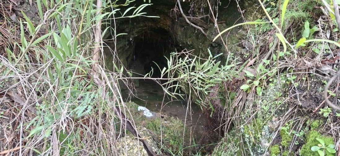 Terreno para Venda em Valdosende Foto 23