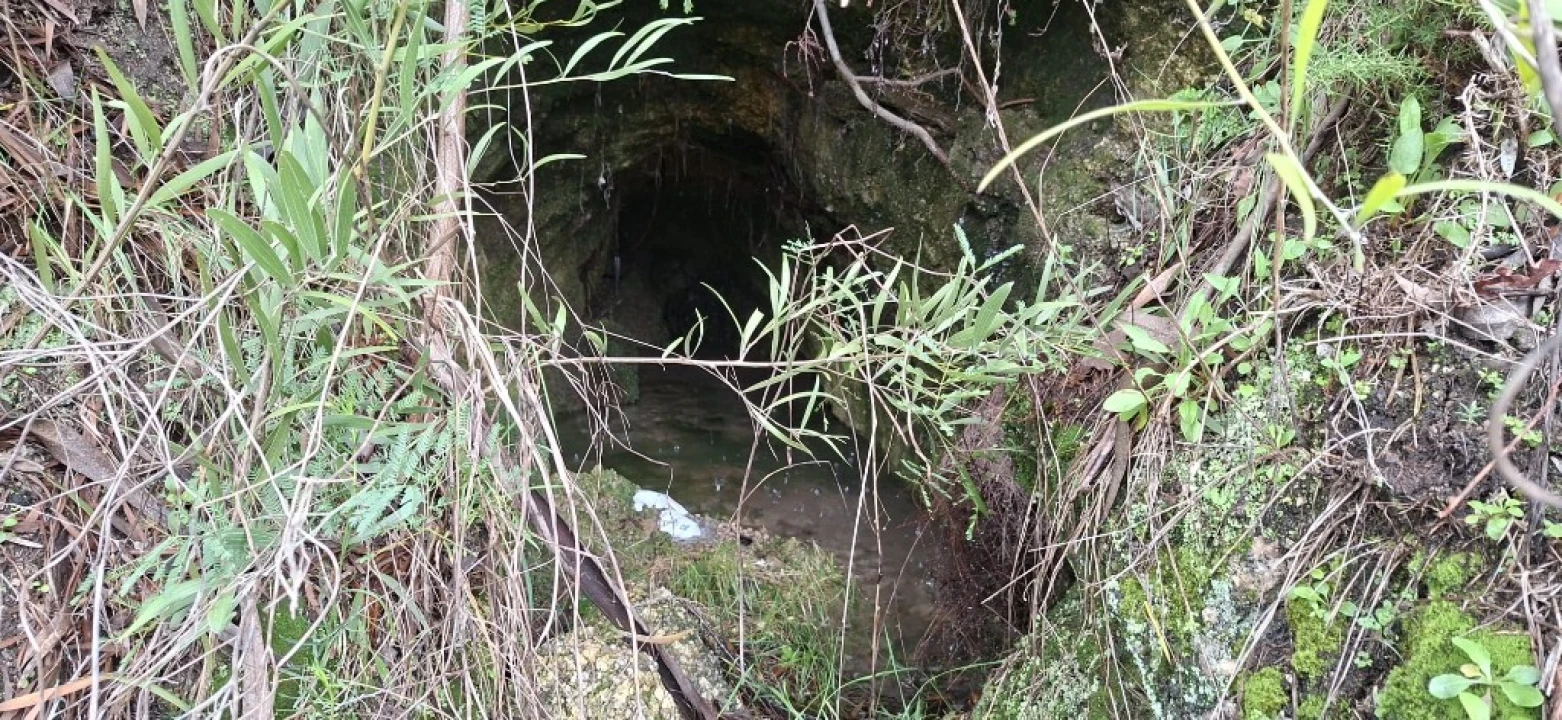 Terreno para Venda em Valdosende Foto 23
