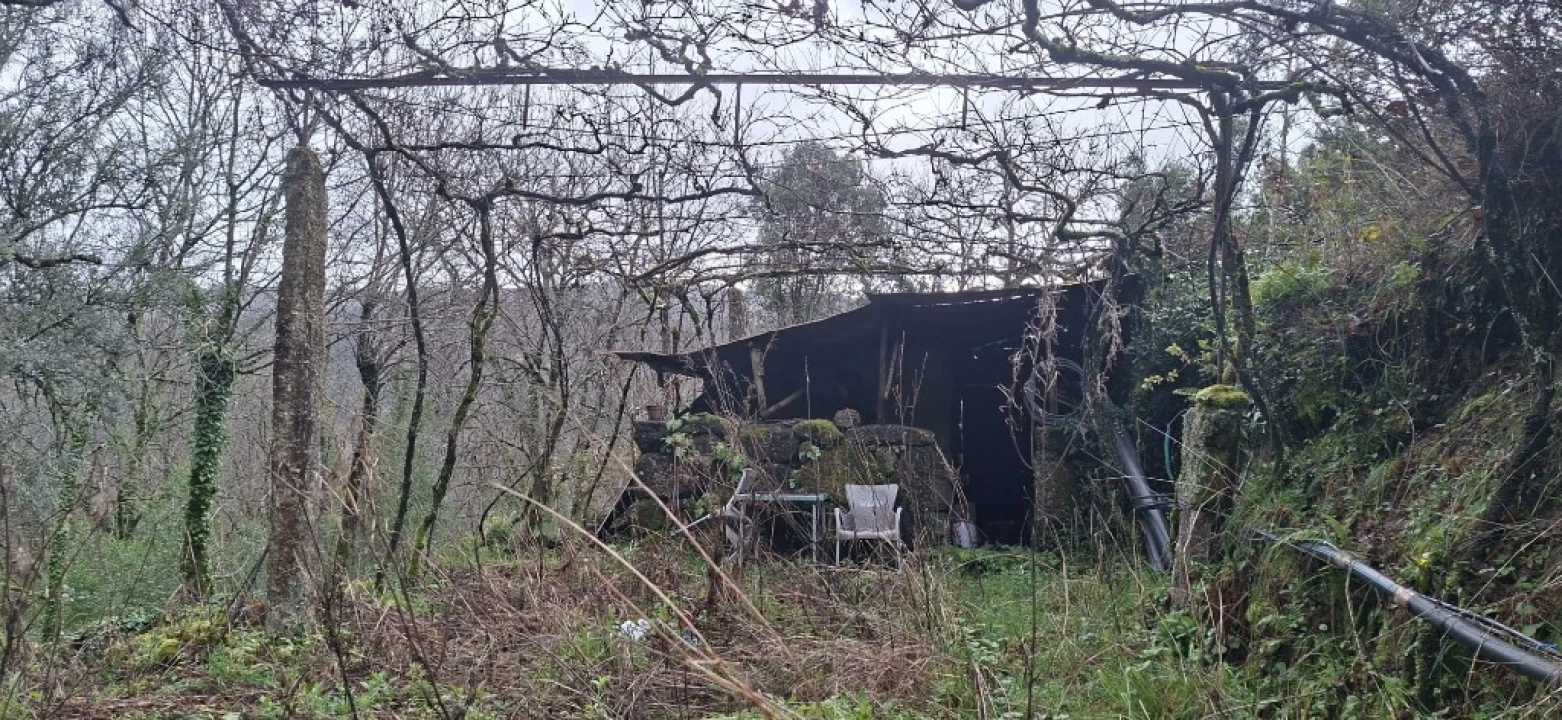 Terreno para Venda em Valdosende Foto 10