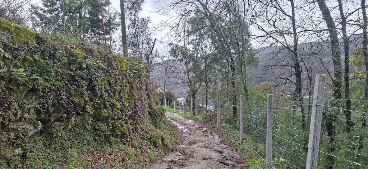 Terreno para Venda em Valdosende Foto 4