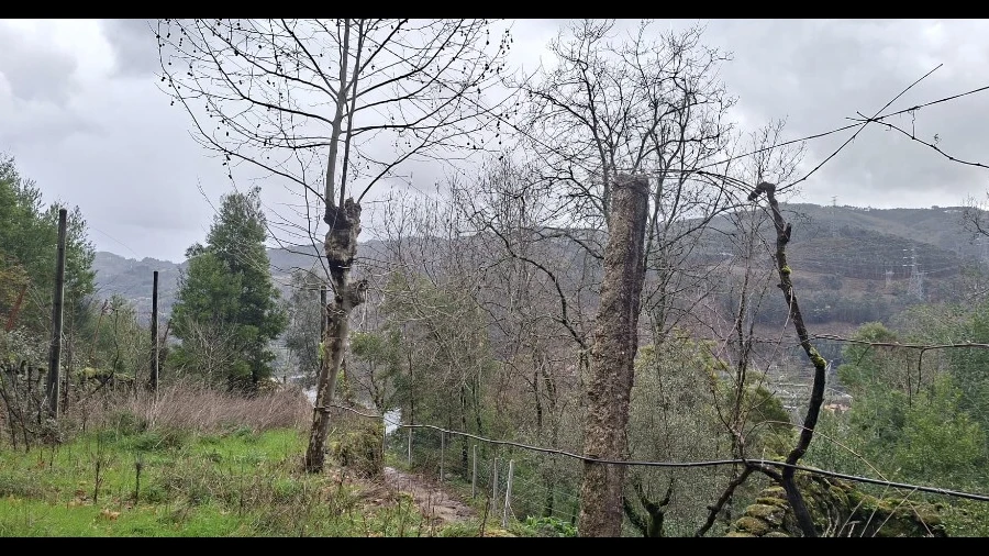 Terreno para Venda em Valdosende