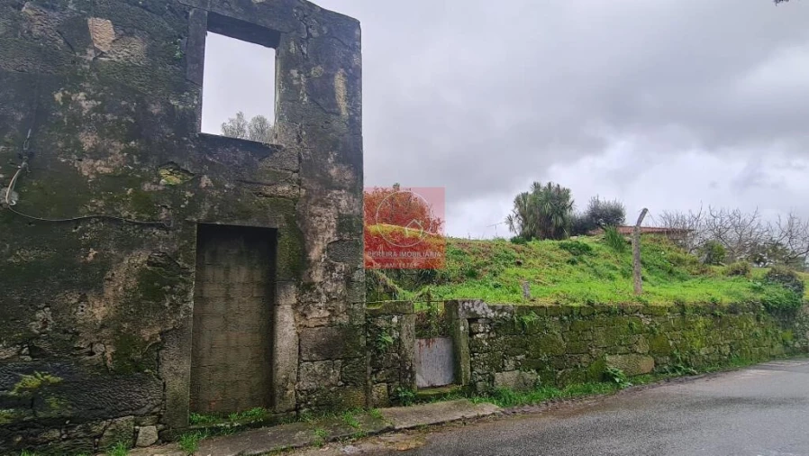 Quinta T5 para Venda em Ardegão, Freixo e Mato Foto 5