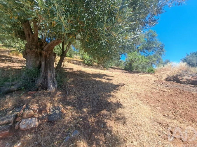 Moradia T2 para Venda em Santa Catarina da Fonte do Bispo Foto 10