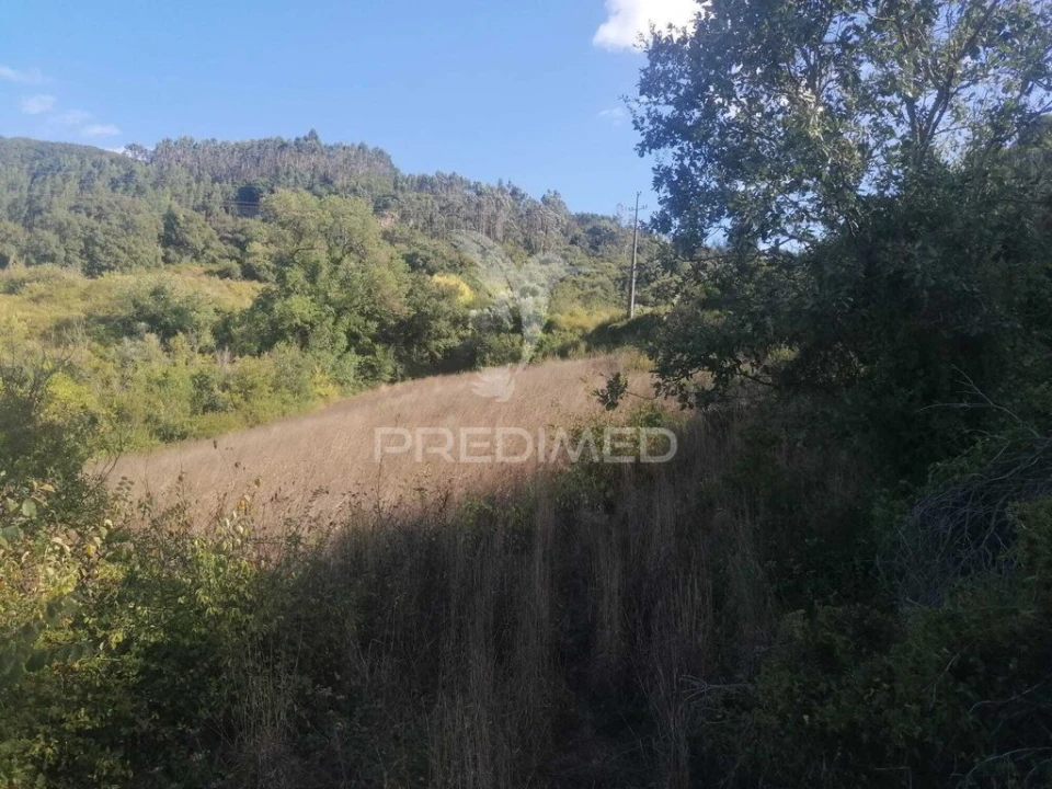 Terreno para Venda em Santo Quintino Foto 6