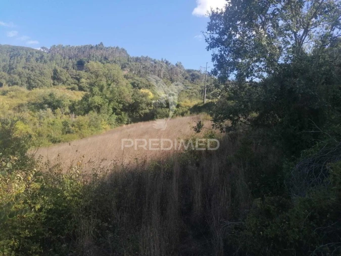 Terreno para Venda em Santo Quintino Foto 6