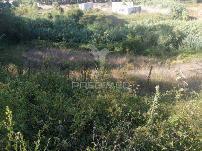 Terreno para Venda em Santo Quintino Foto 4