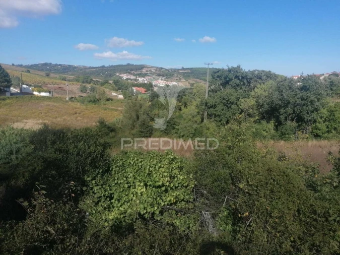 Terreno para Venda em Santo Quintino Foto 5