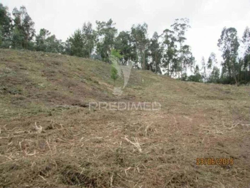 Terreno para Venda em Cesar Foto 5
