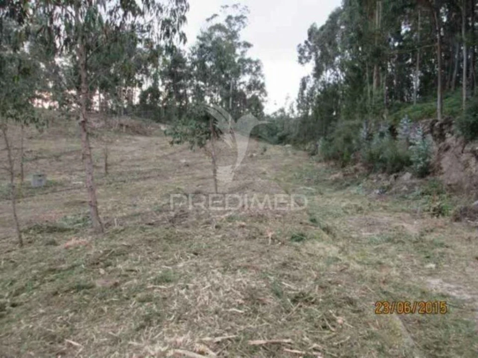 Terreno para Venda em Cesar Foto 2