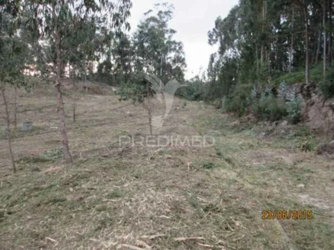 Terreno para Venda em Cesar Foto 2