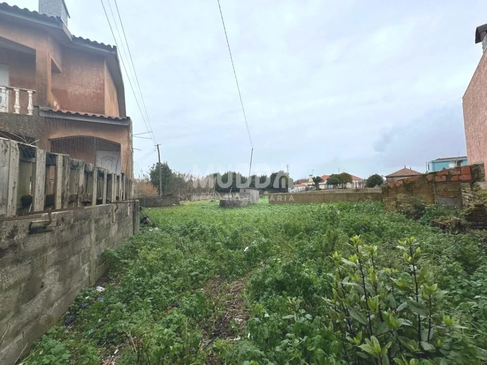 Terreno para Venda em Murtosa Foto 2