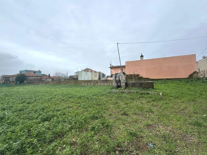 Terreno para Venda em Murtosa Foto 4