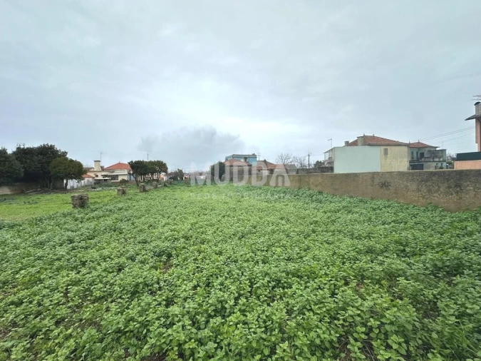 Terreno para Venda em Murtosa Foto 8