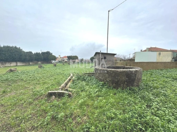 Terreno para Venda em Murtosa Foto 3