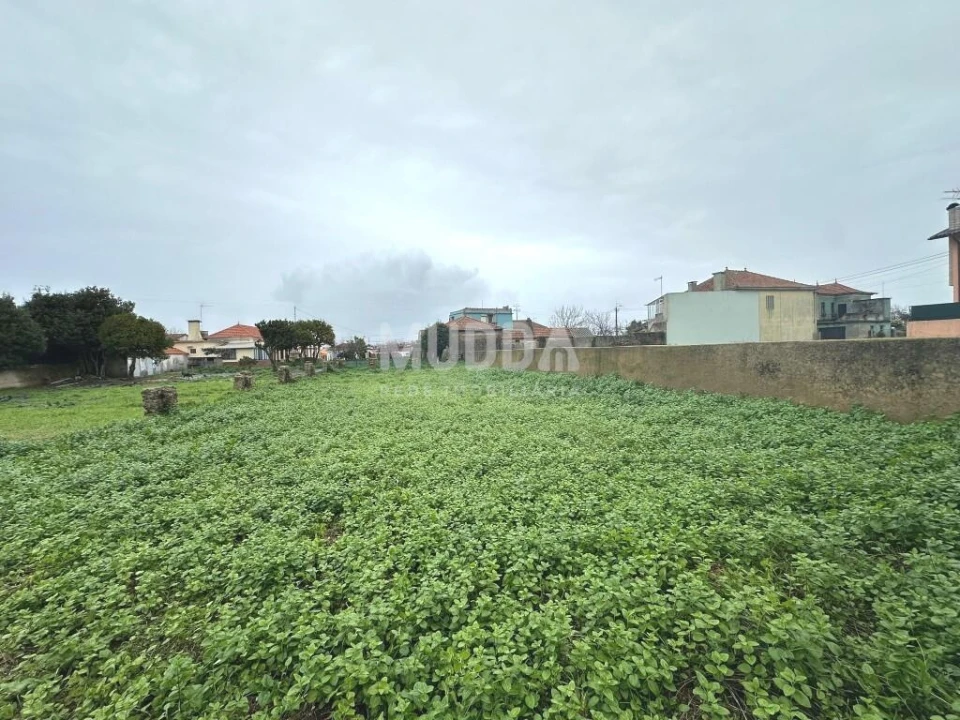 Terreno para Venda em Murtosa Foto 8