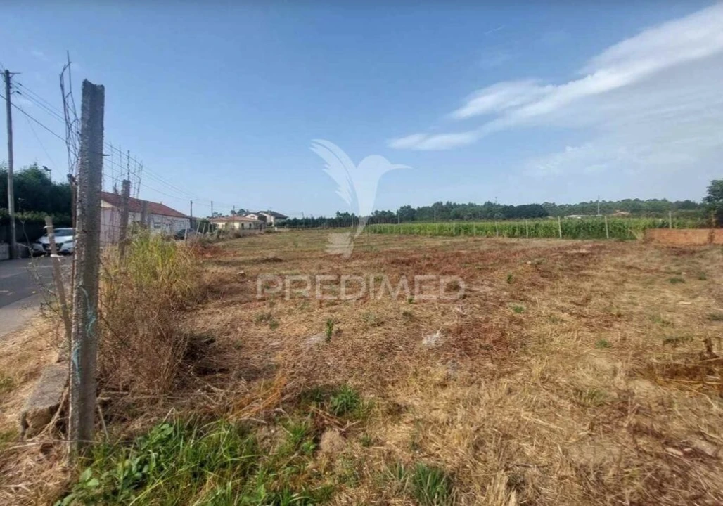 Terreno para Venda em Oiã Foto 2