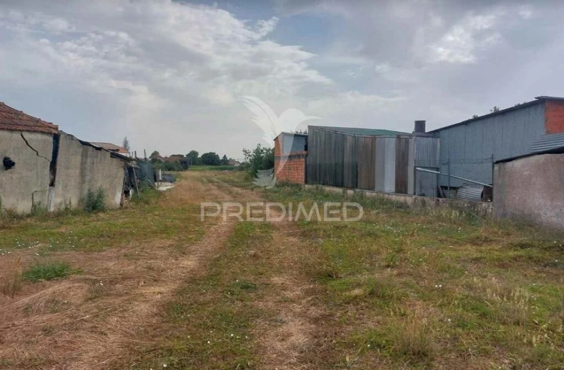 Quinta T2 para Venda em Oiã Foto 6