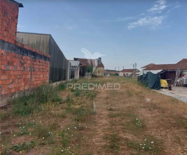 Quinta T2 para Venda em Oiã Foto 4