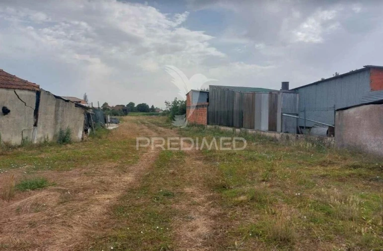 Quinta T2 para Venda em Oiã Foto 6