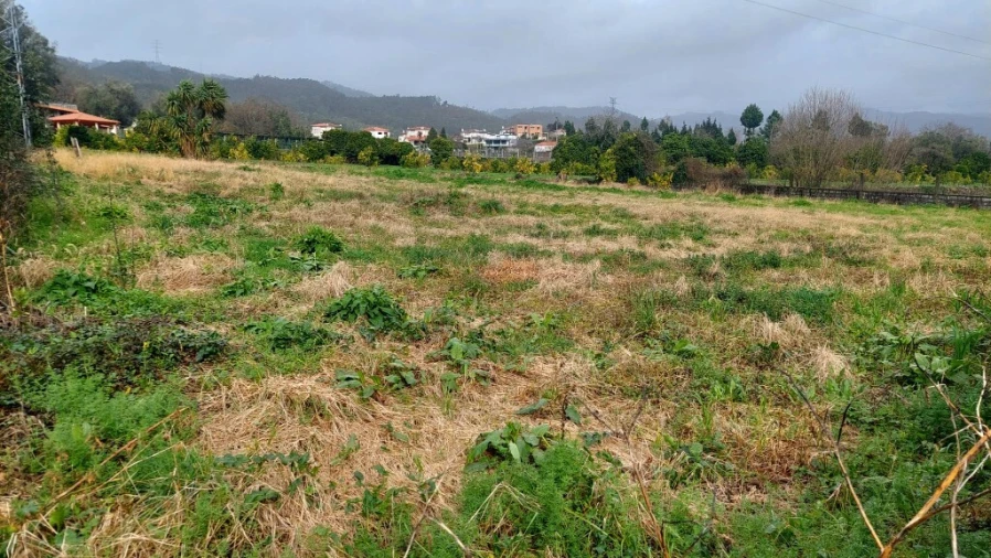Terreno para Venda em Amares e Figueiredo Foto 2