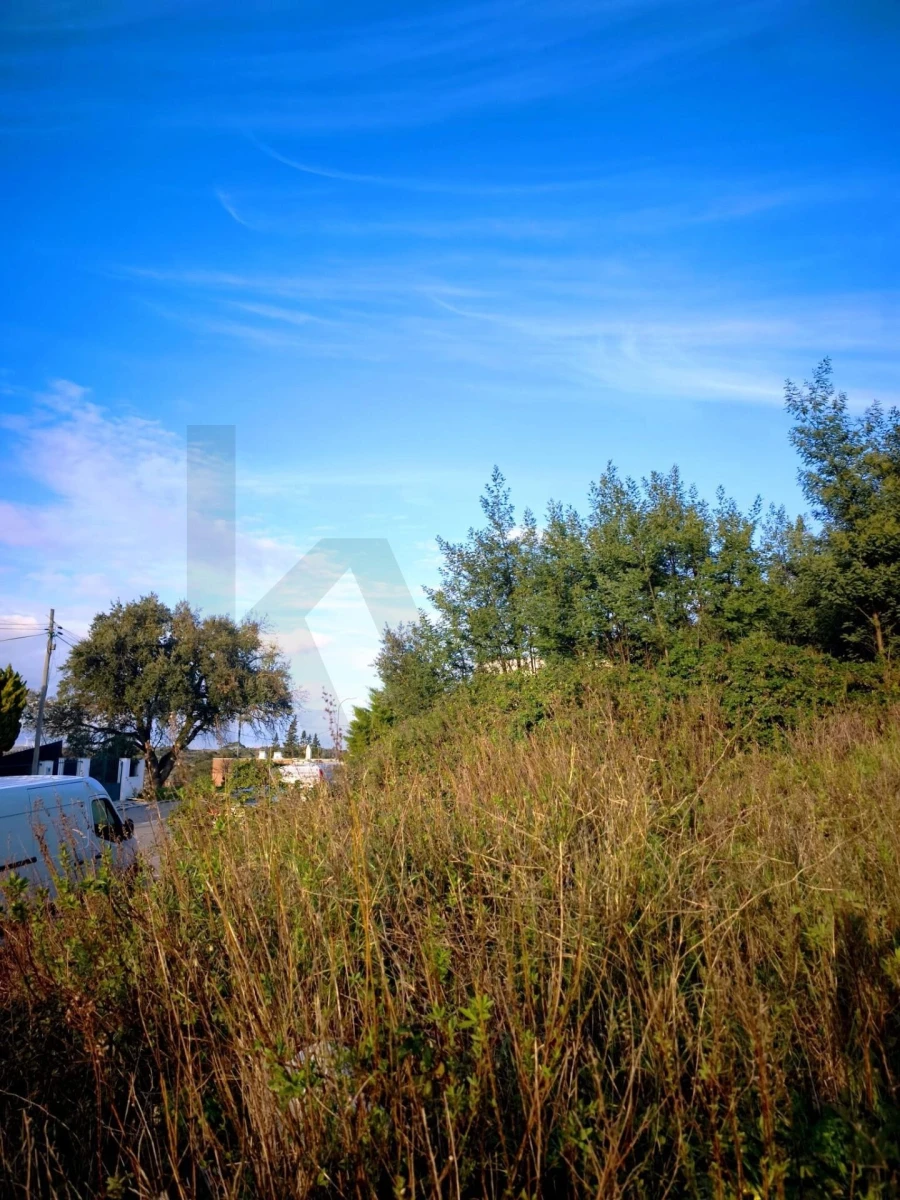Terreno para Venda em Almargem do Bispo, Pêro Pinheiro e Montelavar Foto 13
