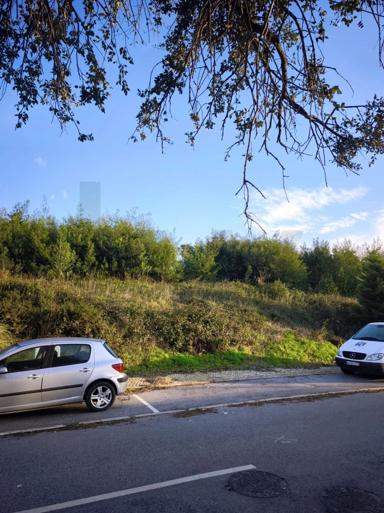 Terreno para Venda em Almargem do Bispo, Pêro Pinheiro e Montelavar Foto 7