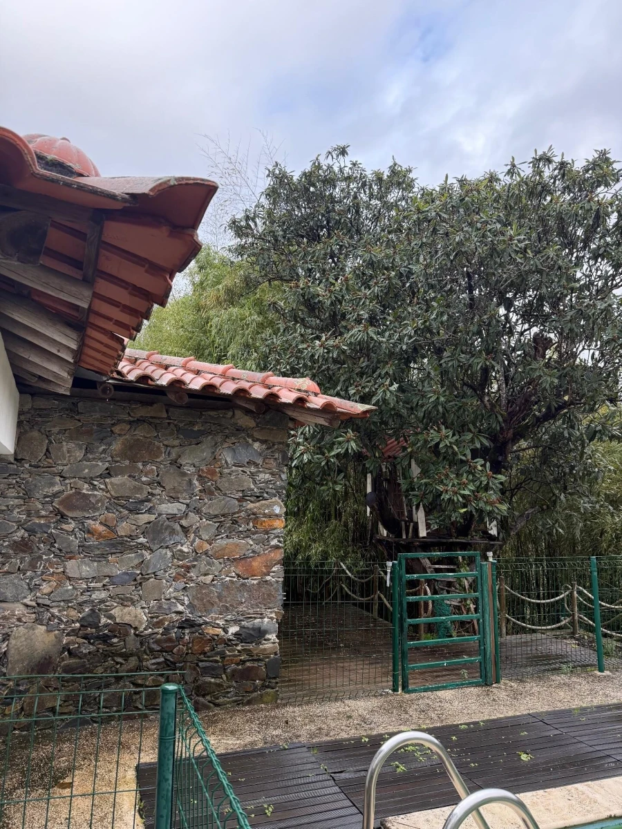 Quinta T10 para Venda em Lousã e Vilarinho Foto 57