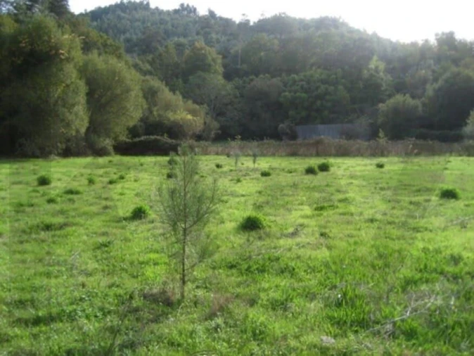 Quinta T10 para Venda em Lousã e Vilarinho Foto 63