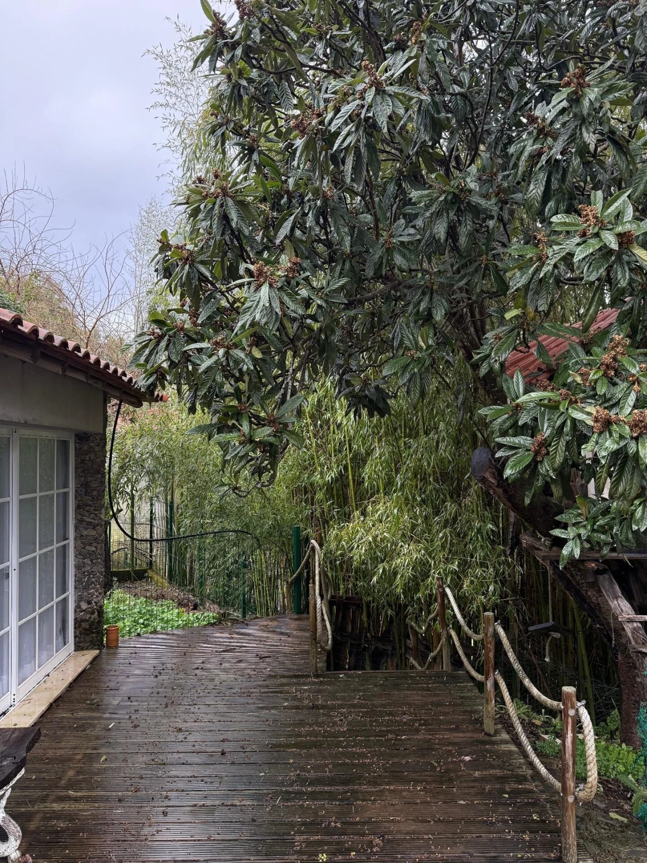 Quinta T10 para Venda em Lousã e Vilarinho Foto 56