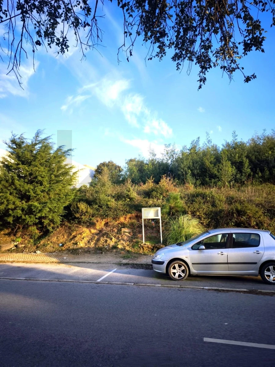 Terreno para Venda em Almargem do Bispo, Pêro Pinheiro e Montelavar Foto 3