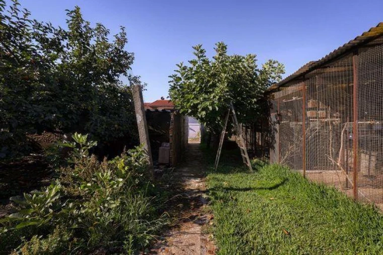 Moradia T6 para Venda em Milheiros de Poiares Foto 41