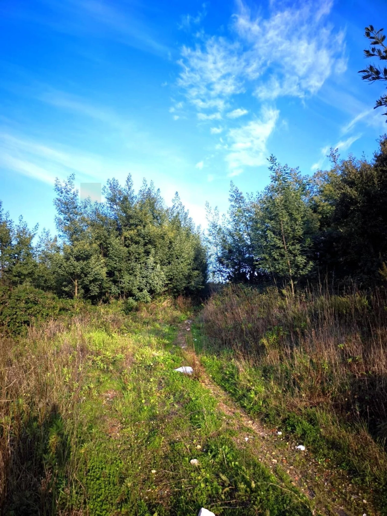 Terreno para Venda em Almargem do Bispo, Pêro Pinheiro e Montelavar Foto 8