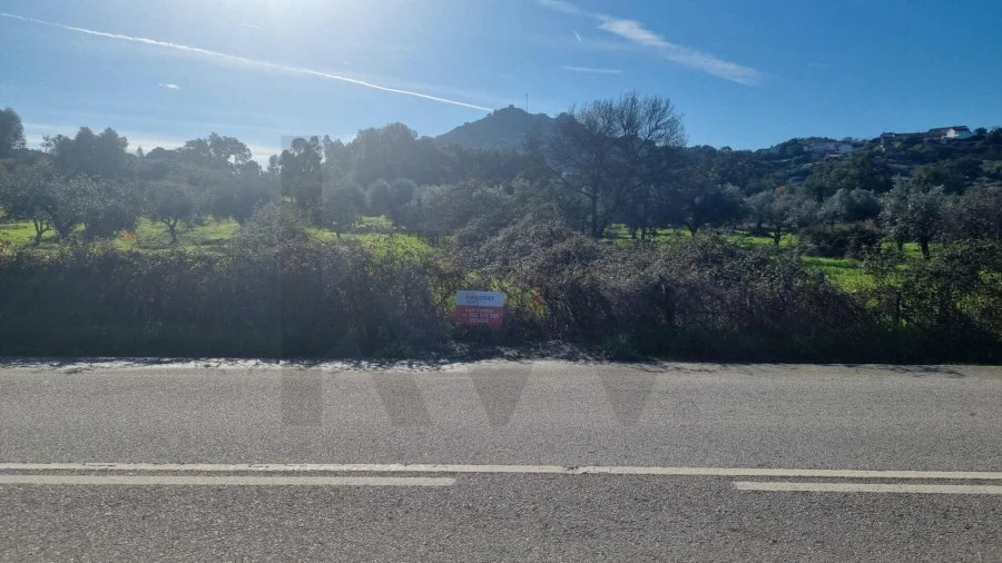 Terreno para Venda em Monsanto e Idanha-A-Velha Foto 1