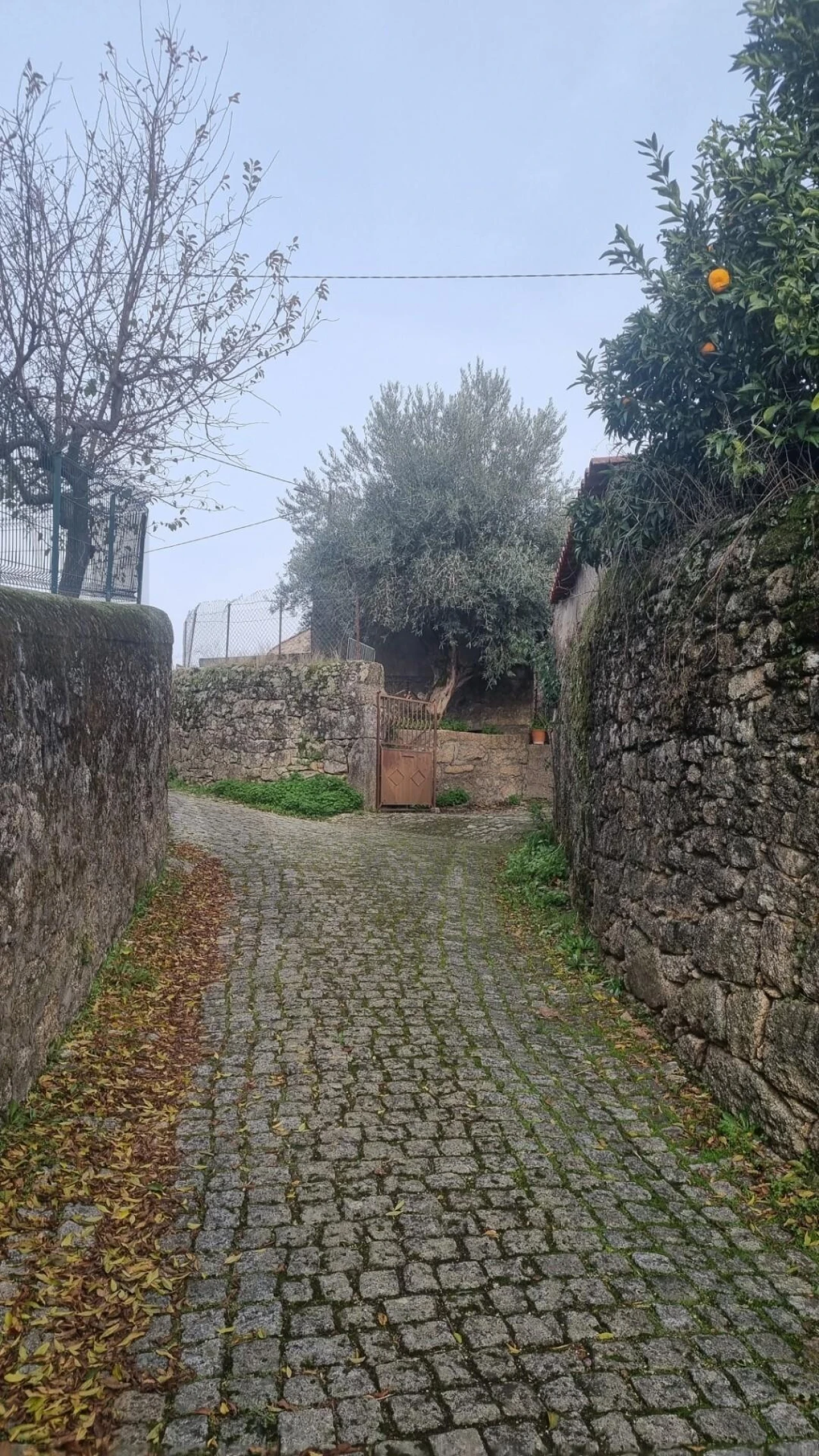 Moradia T5 para Venda em Monsanto e Idanha-A-Velha Foto 3