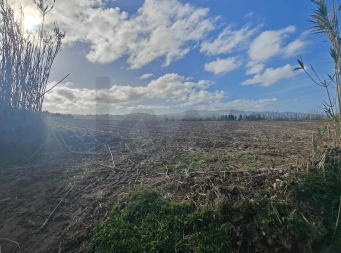 Terreno para Venda em Fenais da Ajuda Foto 2