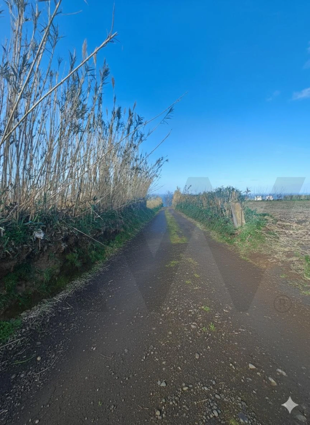 Terreno para Venda em Fenais da Ajuda Foto 3