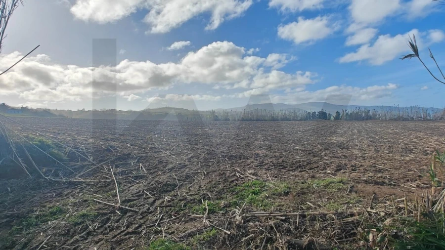 Terreno para Venda em Fenais da Ajuda