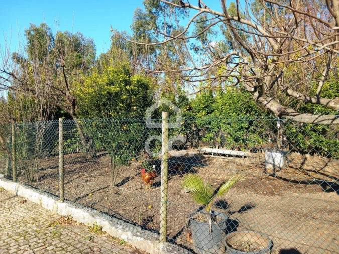 Moradia T4 para Venda em Revelhe Foto 35