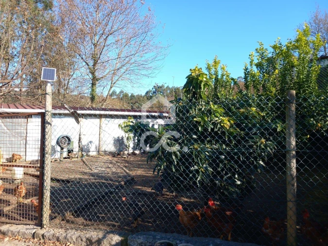 Moradia T4 para Venda em Revelhe Foto 34