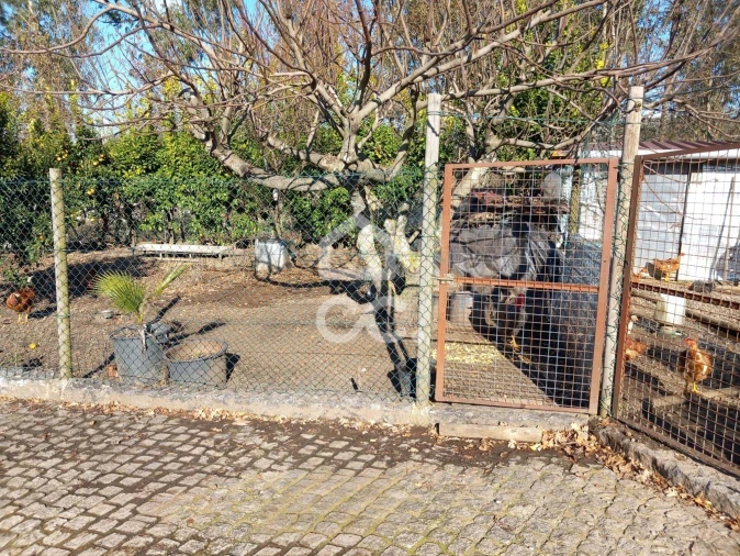 Moradia T4 para Venda em Revelhe Foto 32