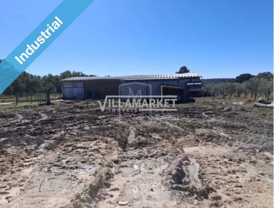 Armazém para Arrendamento em Parreira e Chouto Foto 8