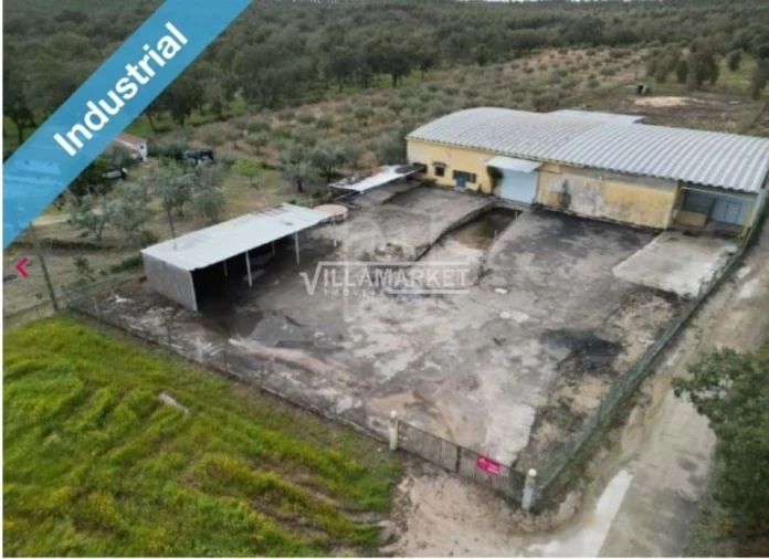 Armazém para Arrendamento em Parreira e Chouto Foto 1