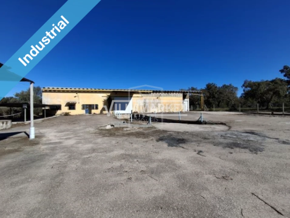 Armazém para Arrendamento em Parreira e Chouto Foto 3