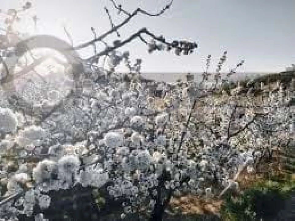 Negócio para Venda em Fundão, Valverde, Donas, A. Joanes, A. Nova Cabo Foto 14
