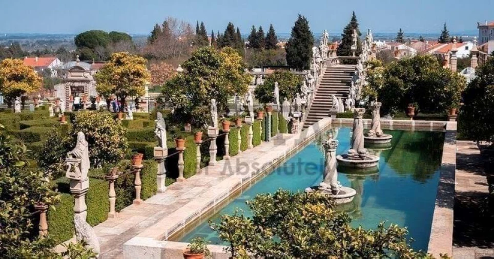 Negócio para Venda em Castelo Branco Foto 14