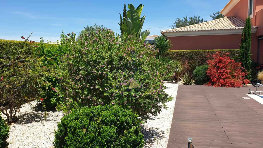 Moradia T4 para Venda em Mexilhoeira Grande Foto 34