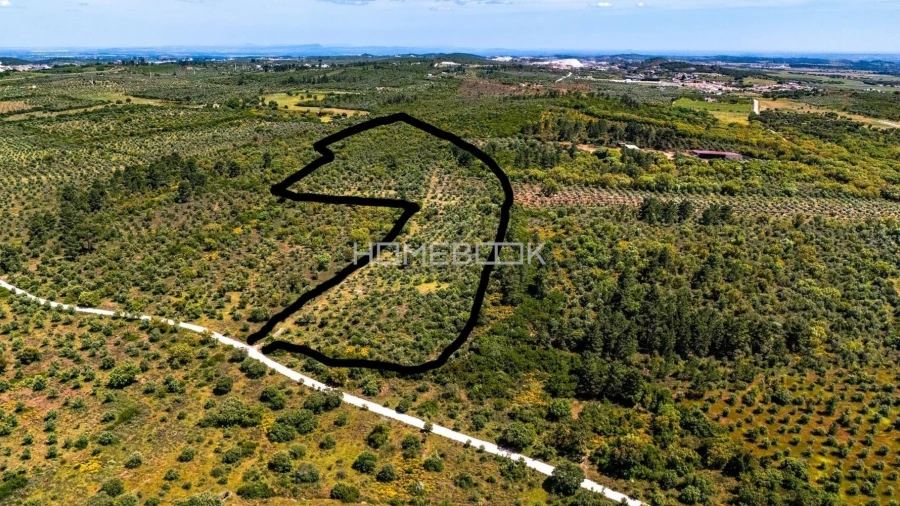 Terreno para Venda em Borba (Matriz)